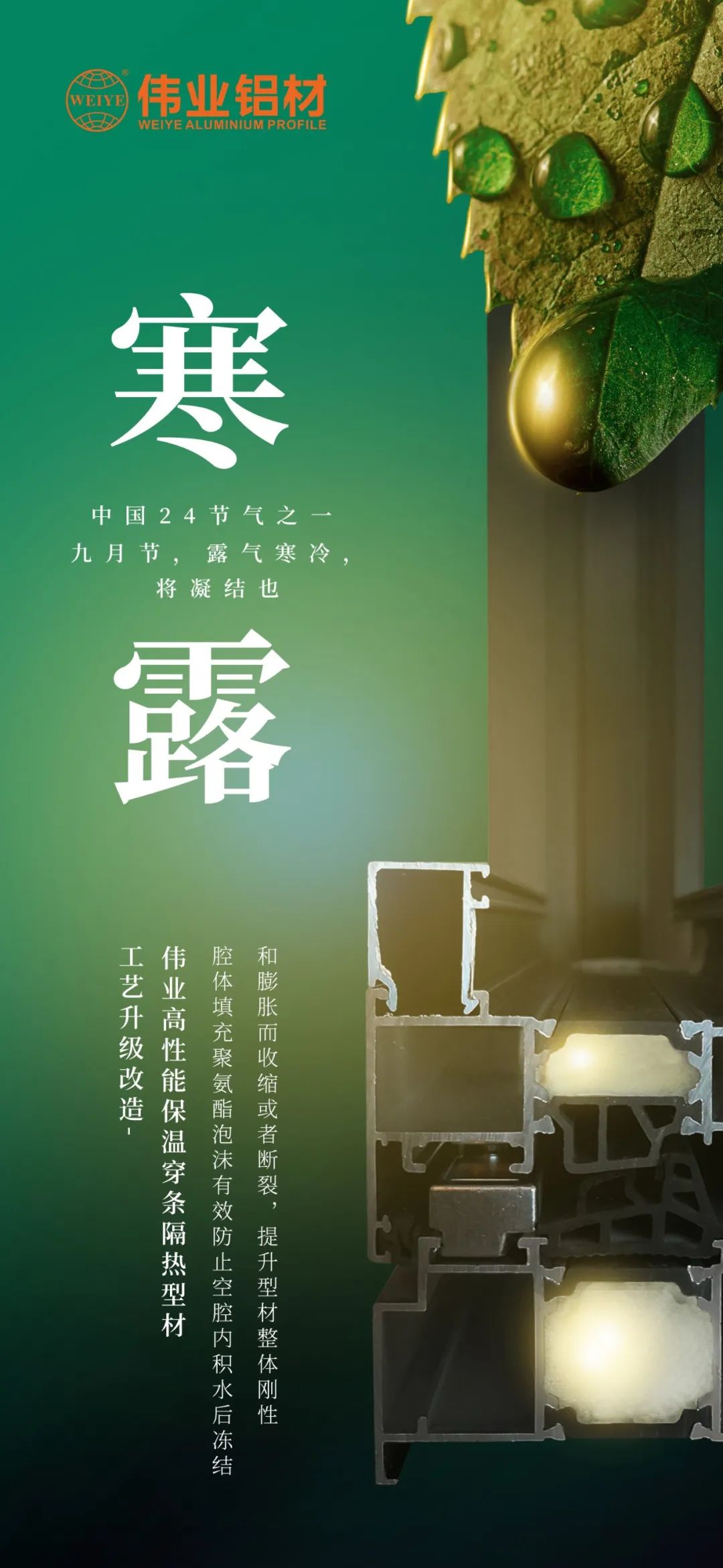 #寒露 九月节，露气寒冷，将凝固也 时光入深秋，岁月便深情